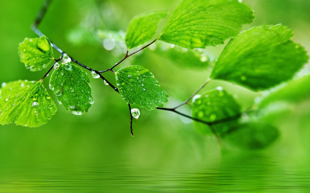 Từ Thiên Nhiên