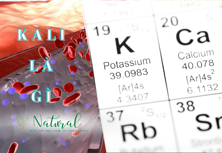 Kali là chất gì trong cơ thể