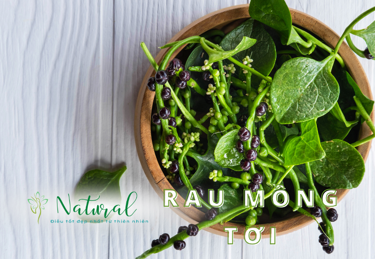 Cây rau mồng tơi