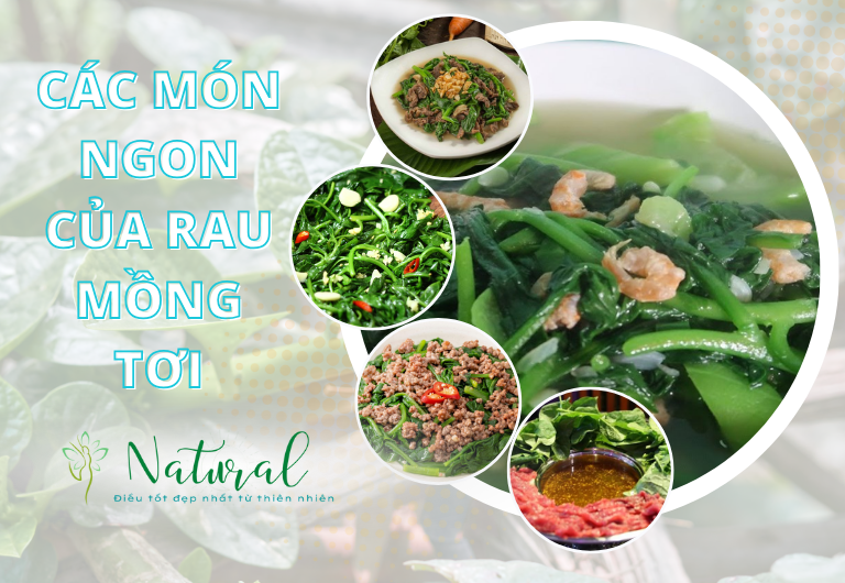 Các món ngon từ rau mồng tơi